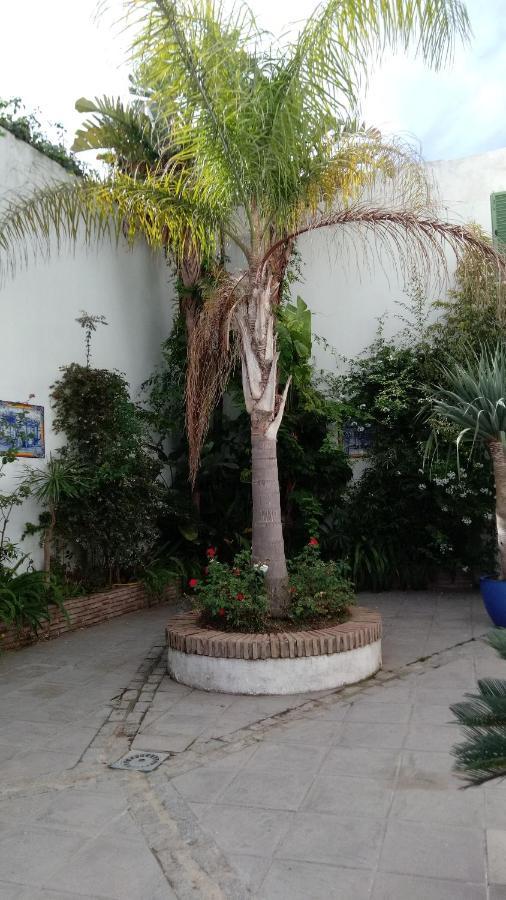 Gravina Comfort Tarifa Eksteriør bilde